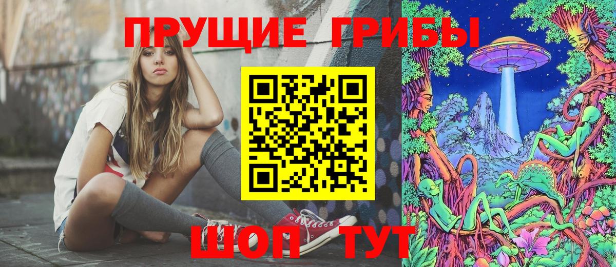 Железногорск  Псилоцибиновые грибы MAGIC MUSHROOMS  Вход с VPN 