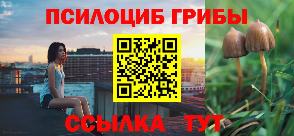 Галлюциногенные грибы мухоморы Железногорск